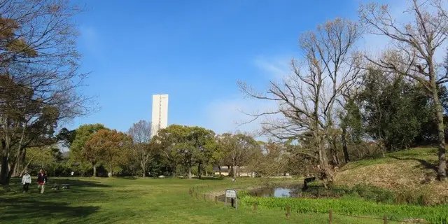 🌳 바다와 만남의 광장(우미 토 노 후레아이 히로바) 이미지 7